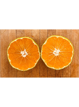 Mandarine satsuma. Citrus x unshiu 'Iwasaki®'