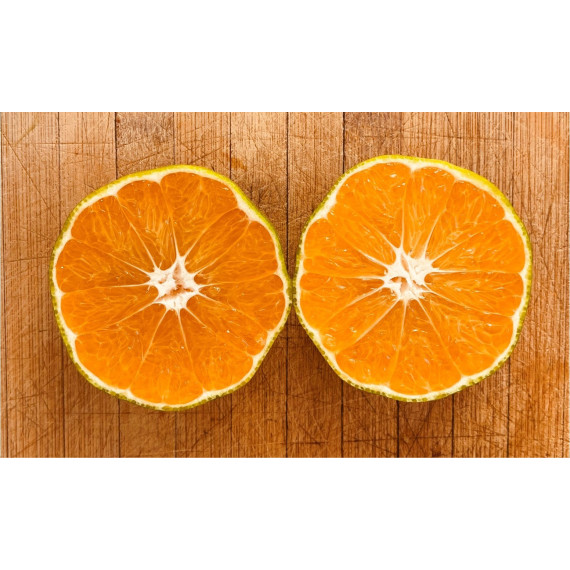 Mandarine satsuma. Citrus x unshiu 'Iwasaki®'