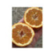 Oranger Arcobal - citrus sinensis x citrus meyerii