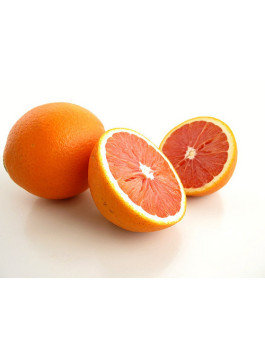 Oranger cara cara - Citrus sinensis cara cara