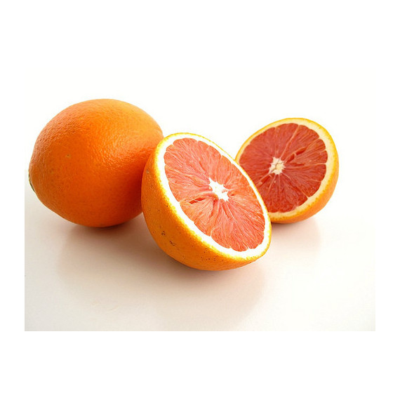 Oranger cara cara - Citrus sinensis cara cara