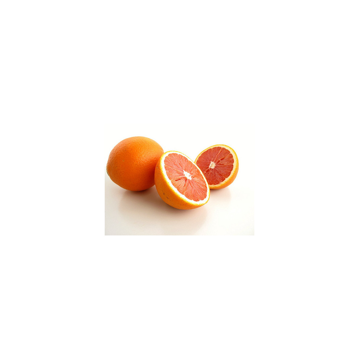 Oranger cara cara - Citrus sinensis cara cara