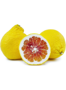 Pamplemousse Valentine - Citrus maxima