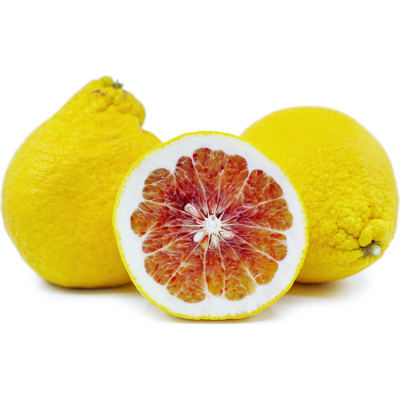 Pamplemousse Valentine - Citrus maxima