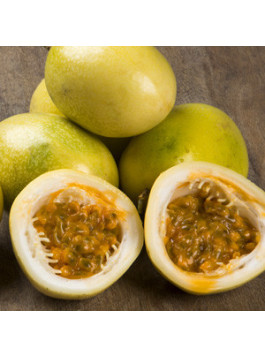 Passiflore 'panama gold' - Passiflora edulis