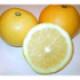 Pomelo 'Marsh' seedless - Citrus paradisii