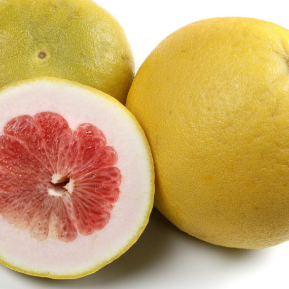 Pomelo rose. Citrus paradisi 'Red blush'