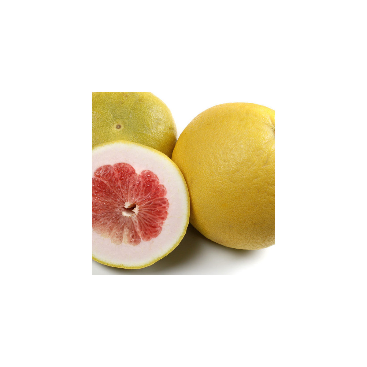 Pomelo rose. Citrus paradisi 'Red blush'