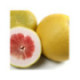 Pomelo rose. Citrus paradisi 'Red blush'