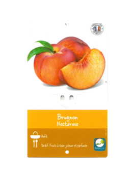 Produit BRUGNEC
