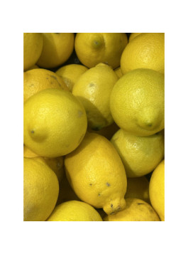 Citronnier jaune '4 saisons'