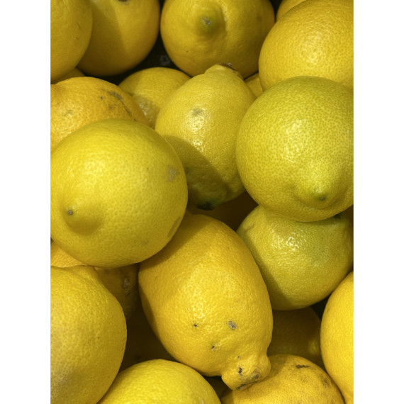 Citronnier jaune '4 saisons'