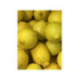 Citronnier jaune '4 saisons'