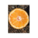 Clementinier Arrufatina. Citrus x clementina 'Arrufatina'