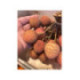 Litchi kwai may pink - Litchi chinensis