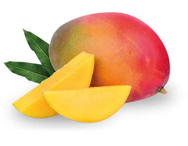 Avocatiers et Manguiers